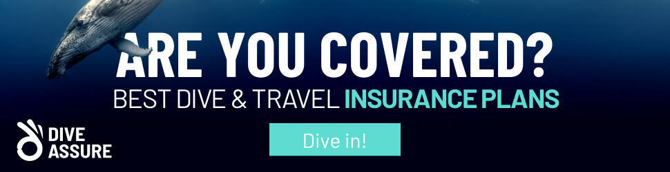 Dive Assure Banner
