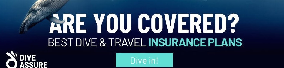 Dive ASsure Banner